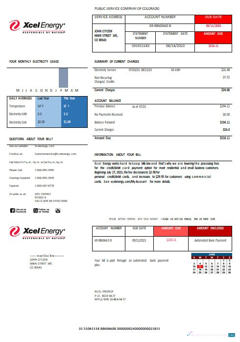 download download USA XcelEnergy electric utility bill Word and PDF formats PDF template PDF template